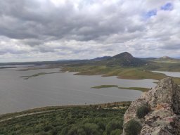 Flora del Cerro Masatrigo